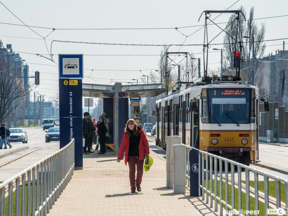 bkk_tram1_grass.jpg