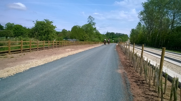 Horse using mup Horse using mup